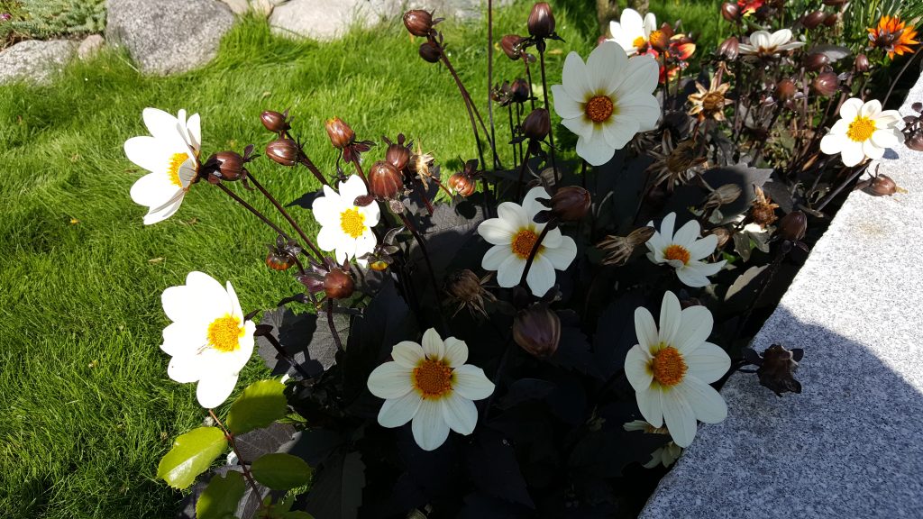 Персональная выставка российского художника Дмитрия Иванова в Стокгольме